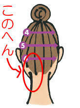 2月は！首・頭強化月(; ･`д･´)