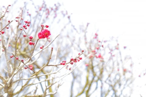 健やかな生活目指しませんか？