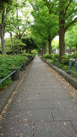 散歩してリフレッシュ！　横浜！『山下公園』✨
