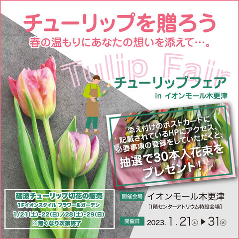 富山県砺波（となみ）市の「チューリップ」フェア！