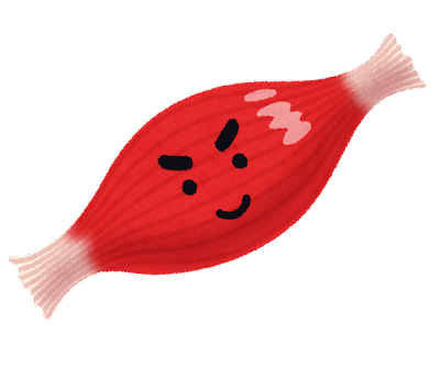 あなたの筋肉大丈夫⁈