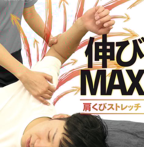 3月限定おすすめコース