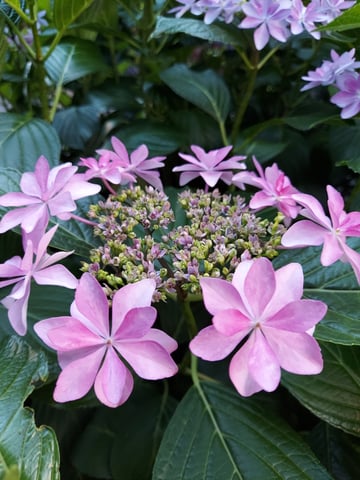 週末のお疲れをリフレッシュ♪心身共にリラックス♪