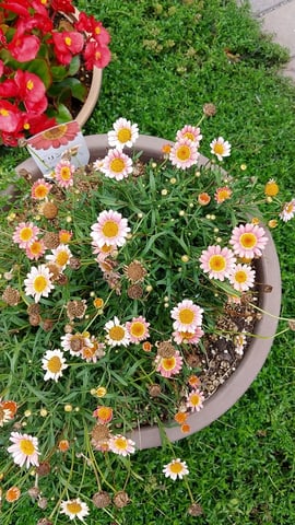 本日の玉学店＆空き時間のご案内です♪