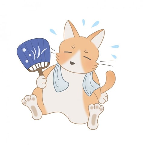 暑い日が続きますね～