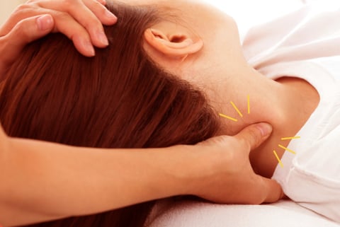 12月25日(木)のご案内♪