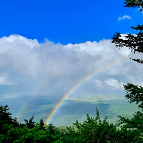 虹の彼方に　光が丘ＩＭＡ店
