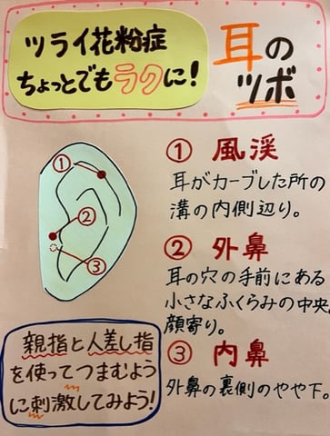 【Echika表参道店】健康キャンペーン!花粉症におススメのツボby耳