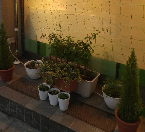 雨の日に似合う、名作児童文学のススメ