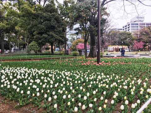 ☆3月19日　ご案内可能時間☆