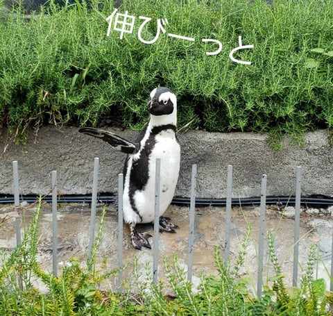 自律神経とは
