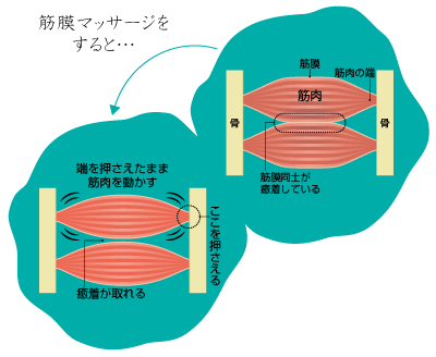 2/19（月）リラク武蔵境（すきっぷ通り）これからの予約状況