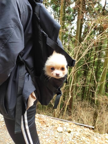 【Re.Ra.Ku　光が丘IMA店】ハイキング