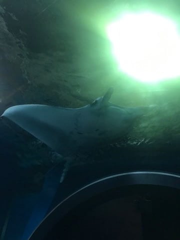 ”お出かけ気まぐれ日記”〜本日もやはり曇り〜AYA