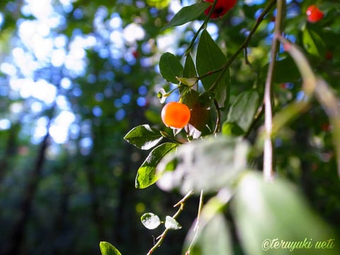 本日の空き情報◎