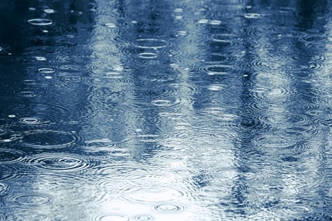 雨の日は好きですか？