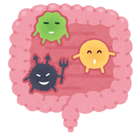 腸内環境を整えよう！おなかケア｜マッサージのように気持ちいい、肩甲骨ストレッチのリラク日本橋店【東京駅,日本橋駅,大手町駅,三越前駅すぐ】