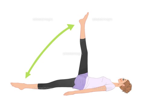 背中とも関係が深い～