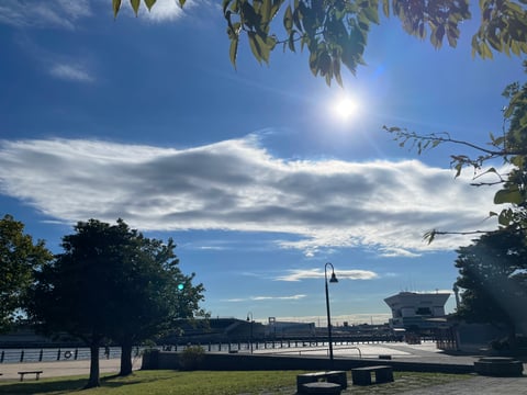 健康に日光は欠かせません♪