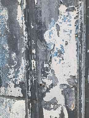 日常に存在する“美”