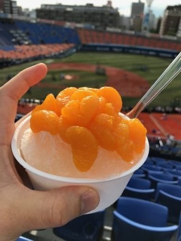 バランスの良い食事