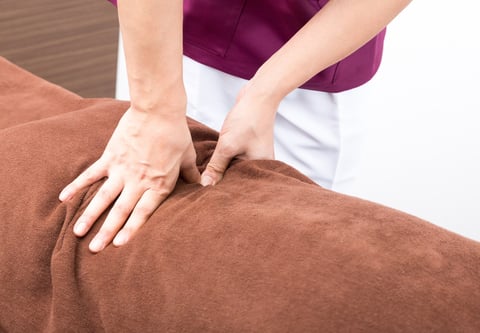 肩甲骨や骨盤をほぐし、お身体の中から整えましょう！