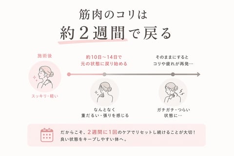 筋肉のコリは役２週間で戻る！