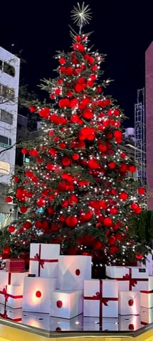 【Echika表参道店】Cartierのクリスマスツリー🎄