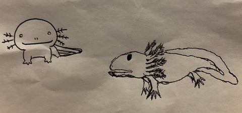絵を描くの得意です