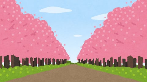 今年の桜開花予想は?