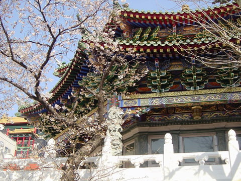 桜☆3月25日　ご案内可能時間☆