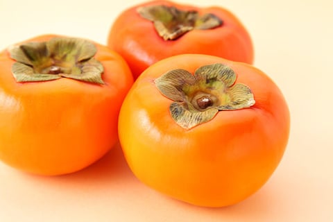 10/26(木)本日の空き情報/柿の日