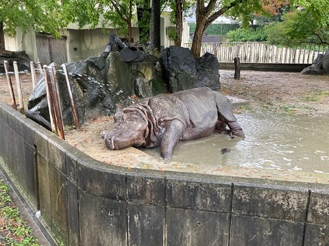 田中と愉快な動物たち Part１