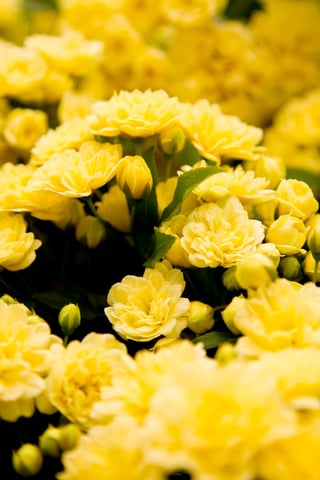 【大井町駅前店】3月8日本日の空き状況のお知らせ☆☆彡