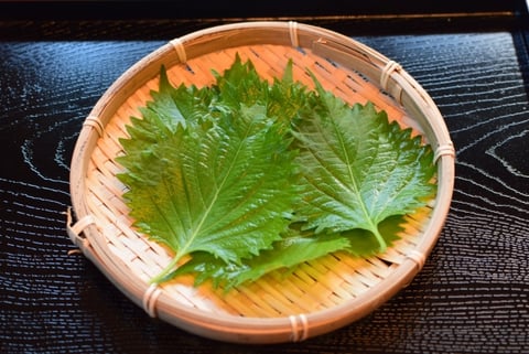 大葉が使い切れない！