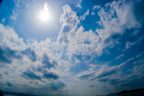 今日はポカポカ陽気ですね☆