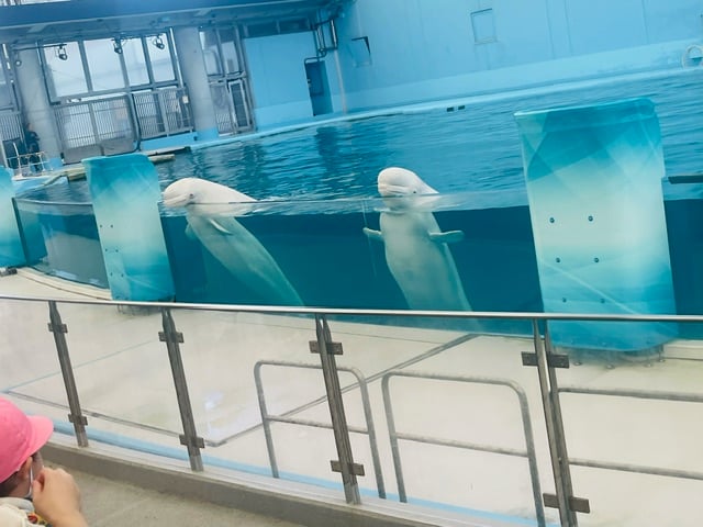 休日の思い出☆