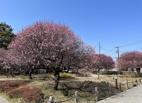 3月24日は何の日？