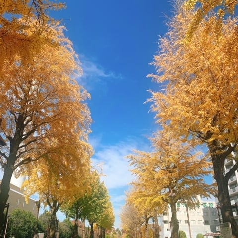 【Re.Ra.Ku　光が丘IMA店】肩