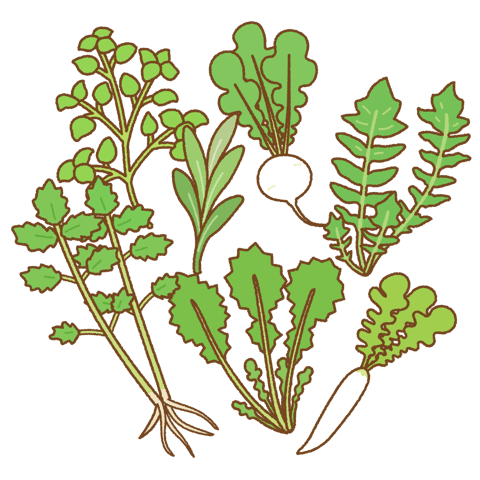 明日は１年の健康を祈る日です☆