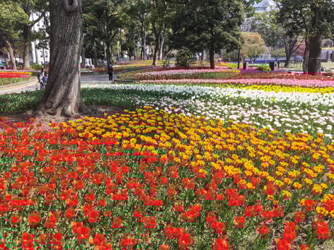 ☆4月4日　ご案内可能時間☆