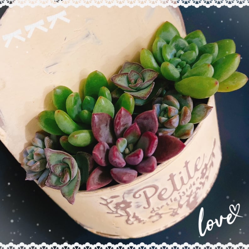 明日と明後日の空き情報◎