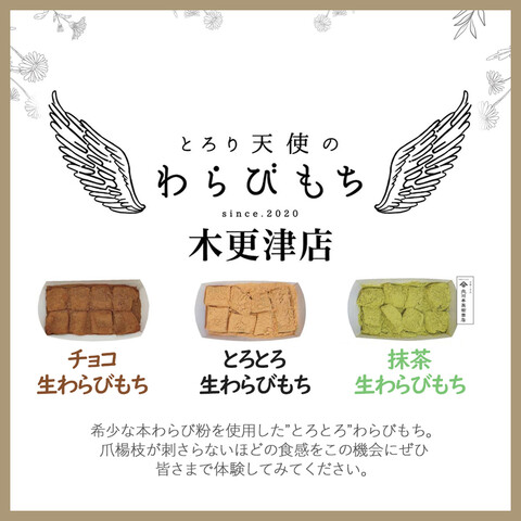 【出張販売】とろり天使のわらびもち