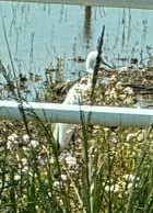 気分転換ってやっぱ必要だったお話♪