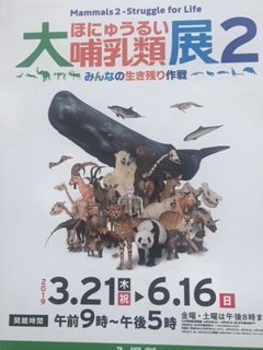 ゴールデンウィークに是非!!　動物大行進!!　上野の『大哺乳類展２』!!｜マッサージのように気持ちいい、肩甲骨ストレッチのリラク日本橋店【東京駅,日本橋駅,大手町駅,三越前駅すぐ】