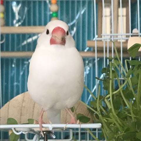 ボディケアはなぜ続けるべきなのか？
