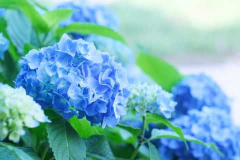 体調不良に要注意!梅雨入り前の健康管理