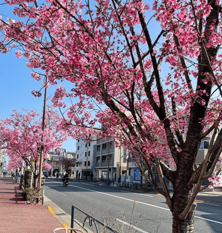 ＜本日3/ 22空き状況＞ 