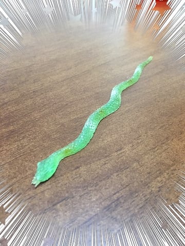子どもの頃の思い出