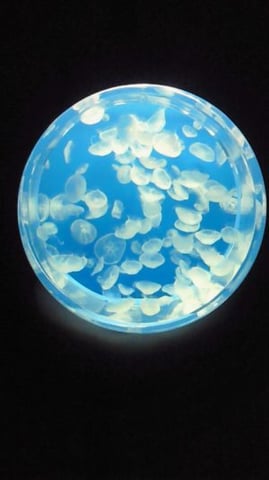 スタッフ別の健康管理～ワークアウト編～